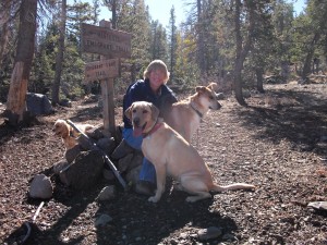 Me and my team "digging up" lost relatives.